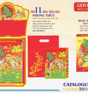 BLOC CỰC ĐẠI 11